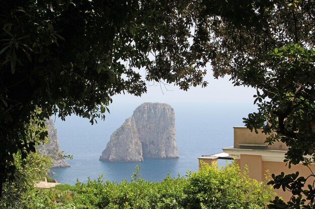 Foto grande roccia in mare vista attraverso gli alberi