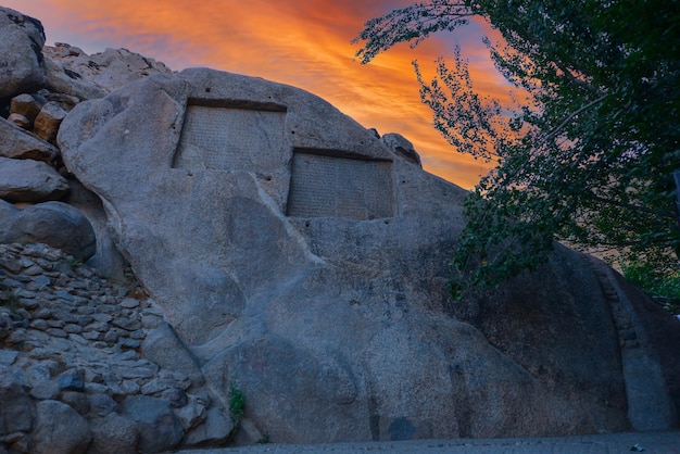 a large rock with a tree on it and a tree in the middle of it