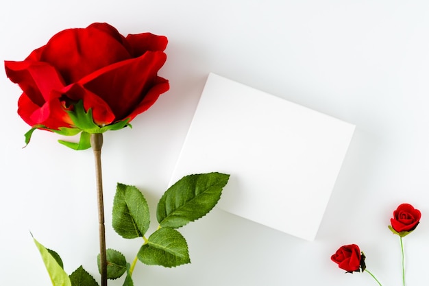 白い背景の上の白いボックスと大きなバラ