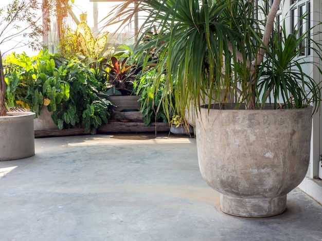 Large round concrete pot with  green leaves on cement floor near the green tropical garden.