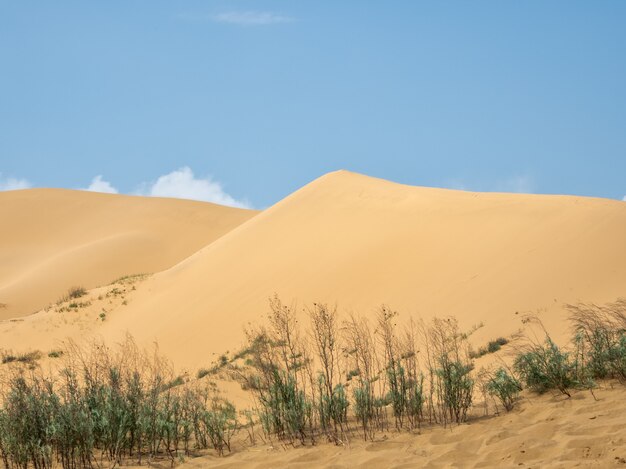 Large sand dune against the blue sky.