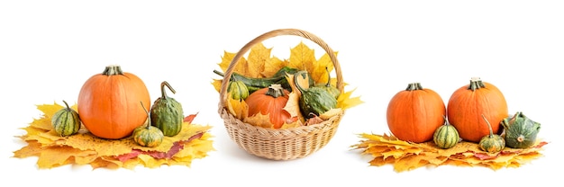 Un grande set di piccole zucche e zucca in un cesto di vimini per la decorazione di halloween isolare su bian...