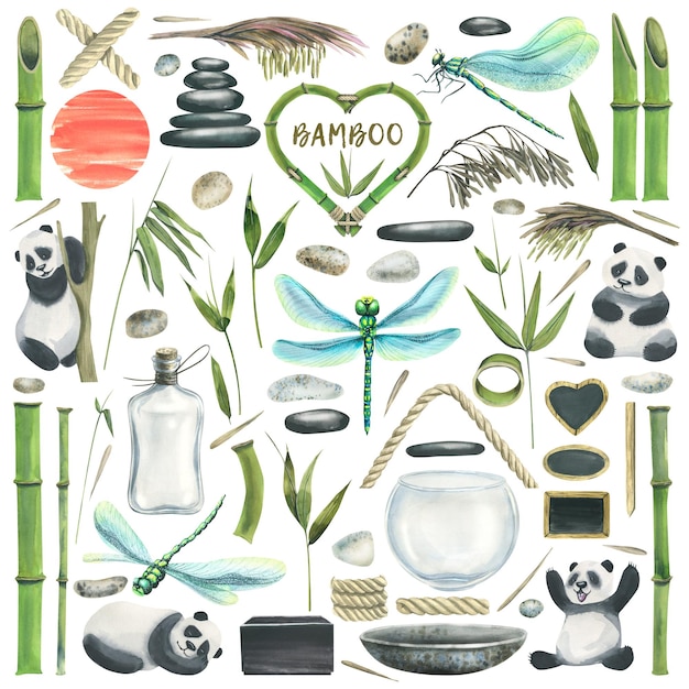 Un grande set con steli di bambù foglie fiori libellule panda ciottoli e vari accessori per composizioni illustrazione ad acquerello per la decorazione e il design