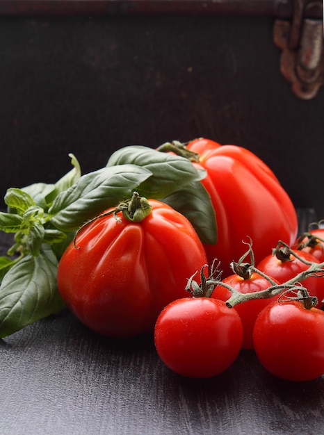 Large and small tomatoes with basil on a black background