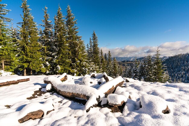 A large snow-covered campfire site for hiking in the Carpathian mountains I bright cold sun