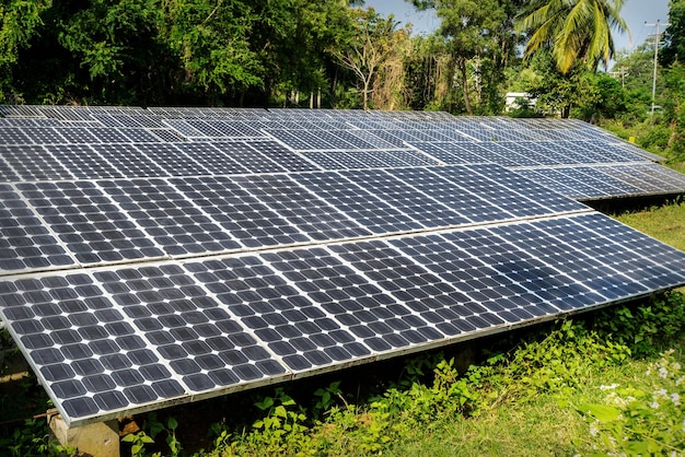 Large solar panels in the rainforest