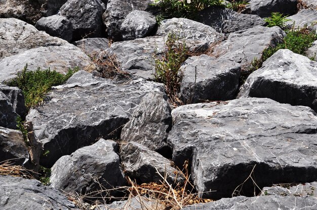 Large stones with grass in between. Background, texture, gray stones with grass.