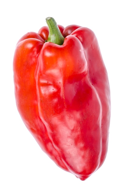 Large sweet bell pepper