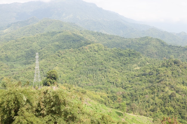 Large transmission towers