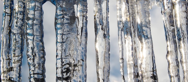 Large transparent plumps in sunlight. Background from icicles.