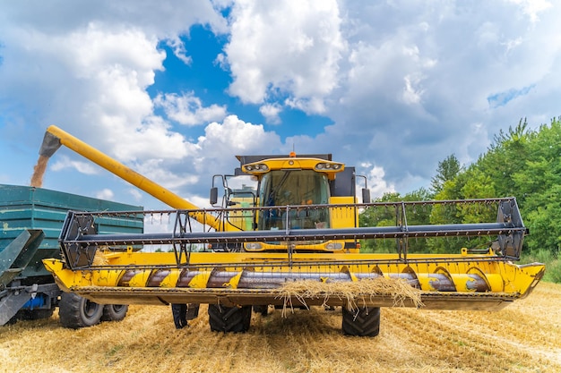 黄色のコンバインの大きな眺め夏の日に働くフィールドでの特別な技術金小麦の概念の現代の機械