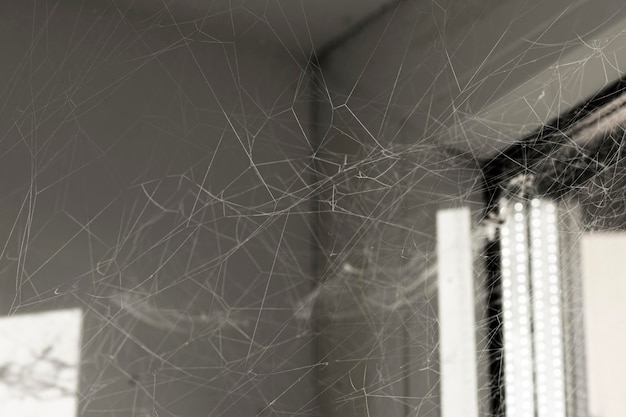 Large web closeup Dirty room indoors dust and cobwebs in the corner of the window