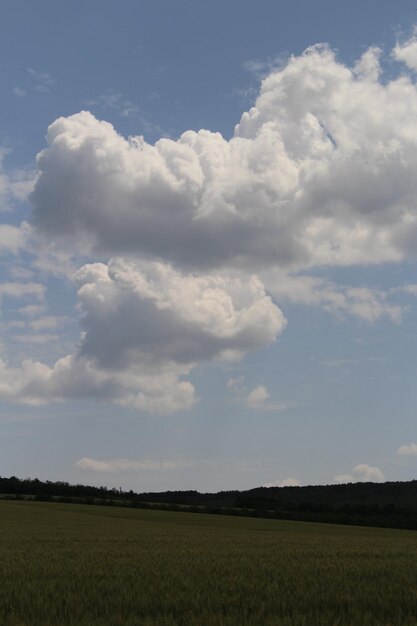 A large white cloud in the sky