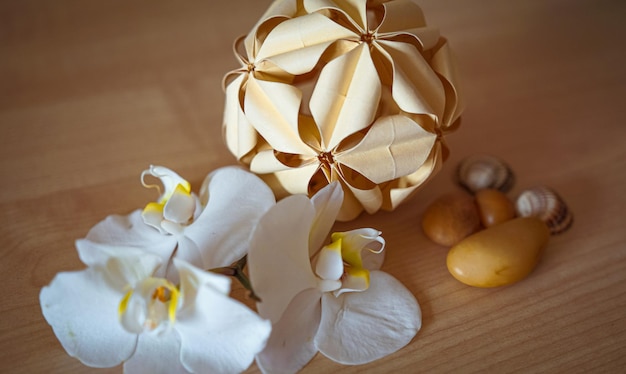 Large white orchid flowers on a brown background