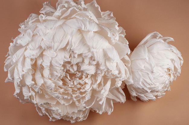 Large white paper peony  made by hand