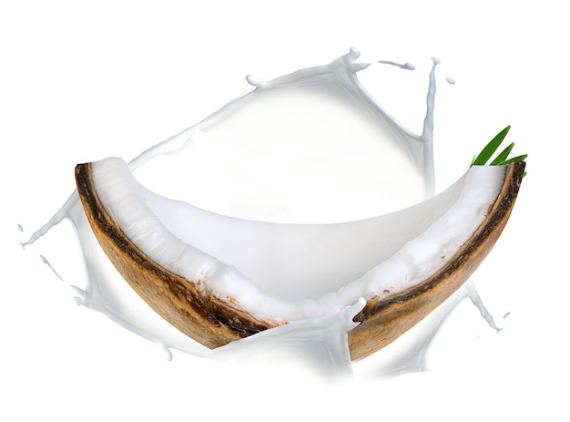 large whole coconut and its part on a white backgroundcoconut in a splash of milk on a white backgr