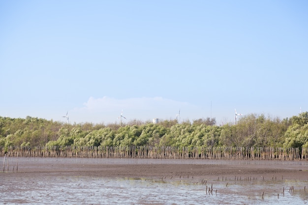 Large Wind Turbines