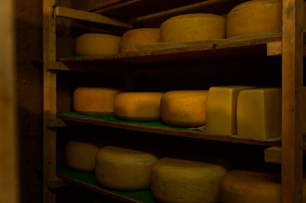 Large yellow heads of cheese on wooden shelves in a dark\
storage.