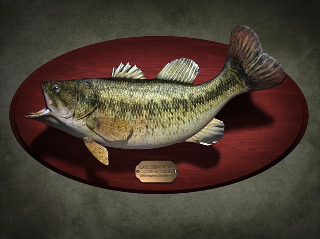 Largemouth Green Bass. 3d illustration