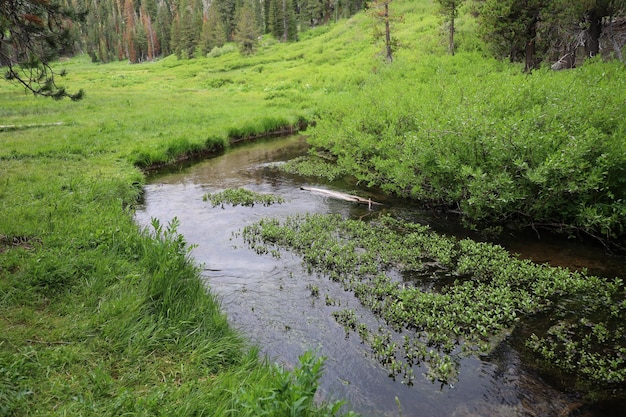 Lassen nationaal park Californië