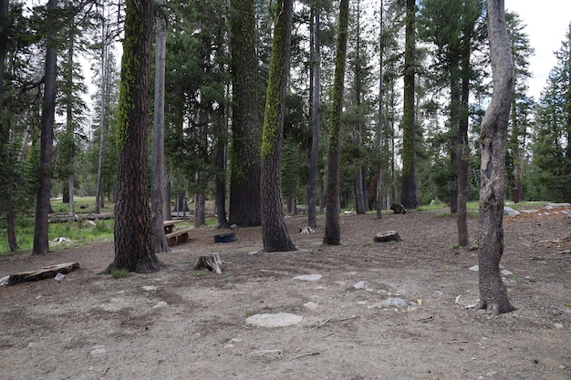 Lassen nationaal park Californië