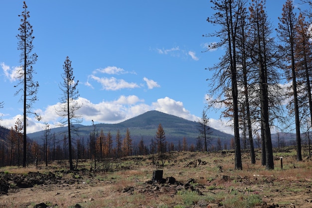 Lassen nationaal park Californië