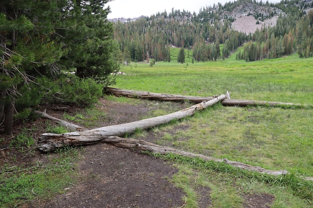 Lassen national park California