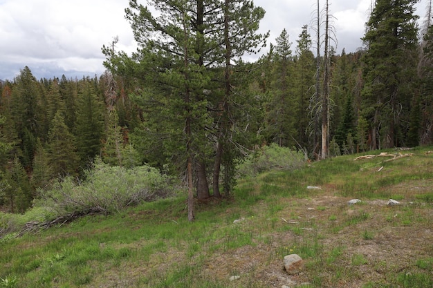 Lassen national park California