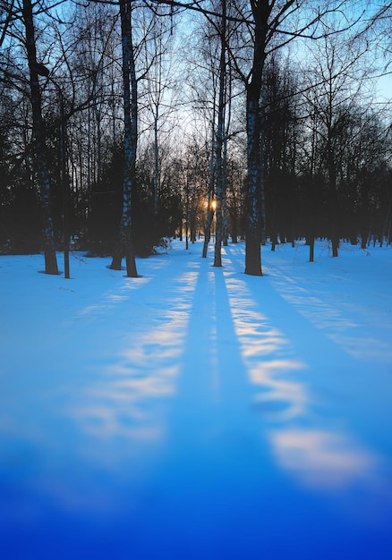 Ultimi raggi del sole invernale paesaggio