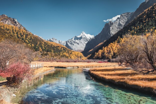 Last Shangri-La of Chana Dorje mountain with pine forest in autumn at Yading