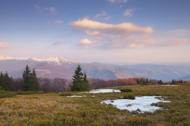 산에서 마지막 눈입니다. 봄 풍경입니다. 화창한 저녁. Carpathians, 우크라이나, 유럽