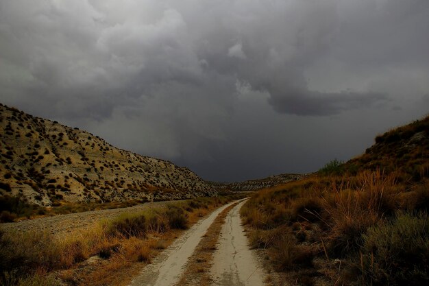 Last steppes in the fields of granada