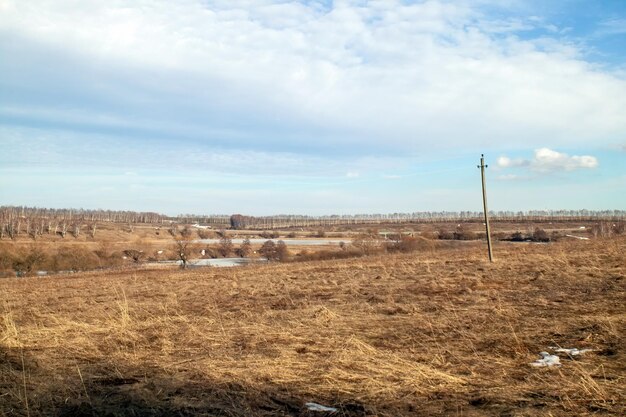 Last year's grass in a field in early spring