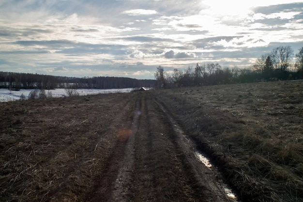 Last year's grass in a field in early spring