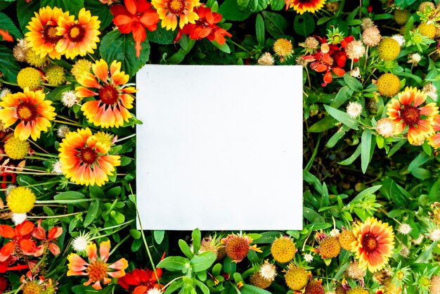 Photo lat lay color lowers plants with copy space white frame