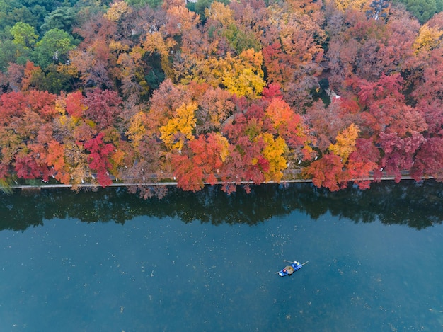 Late autumn scenery of wuhan east lake scenic area