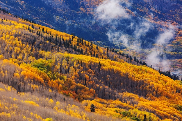 Late Autumn season in mountains