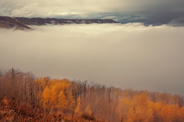 Foto fine stagione autunnale in montagna