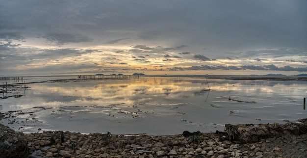 late evening scene at the low tide swampy beach