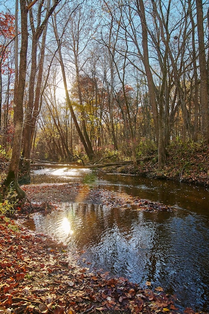 Late Herfst Serenity in Bicentennial Acres Indiana Golden Light op de rivier