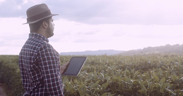 Latijns-Amerikaanse boer werkt aan sojaplantage, onderzoekt gewasontwikkeling op tablet.
