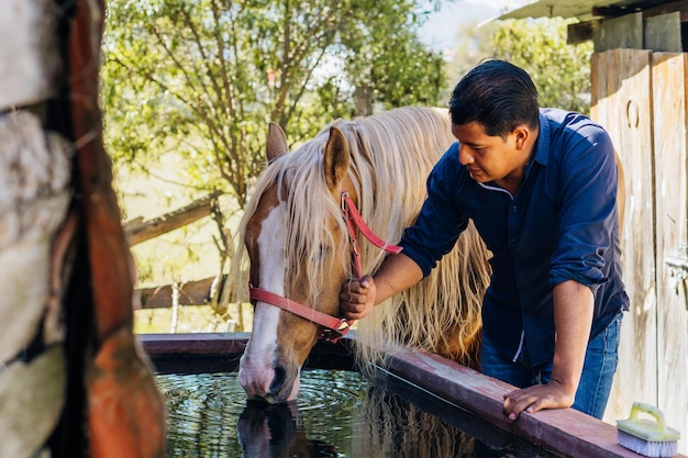 Latijnse man en een paard drinkwater.