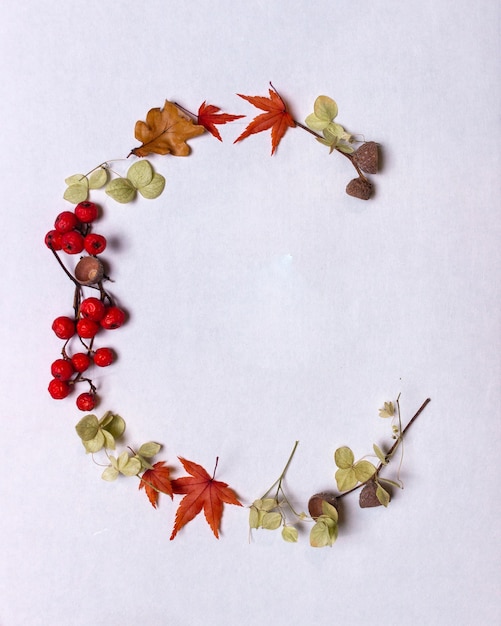 Latin alphabet letters from autumn leaves on a white background