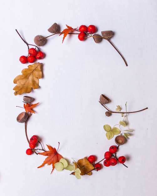 Latin alphabet letters from autumn leaves on a white background