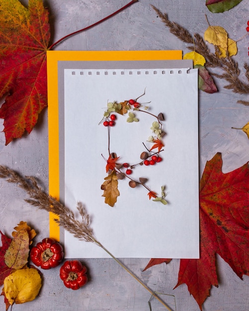 Latin alphabet letters from autumn leaves on a white background