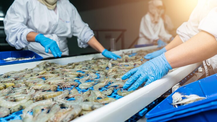 Photo latina workers overseeing the quality of vannamei white shrimp at a conveyor at a seafood processing plant