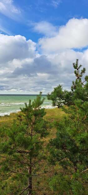 Latvija jurkalne summer baltic sea