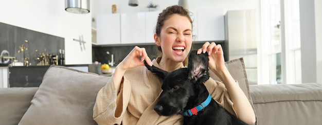 laughing young woman playing with her dog on sofa cute girl smiling showing long ears of her pet