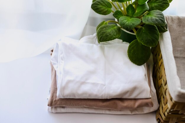 Laundered reusable Tshirt on domestic room with natural bucket and green home plant