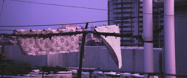 Laundry hanging on clothesline